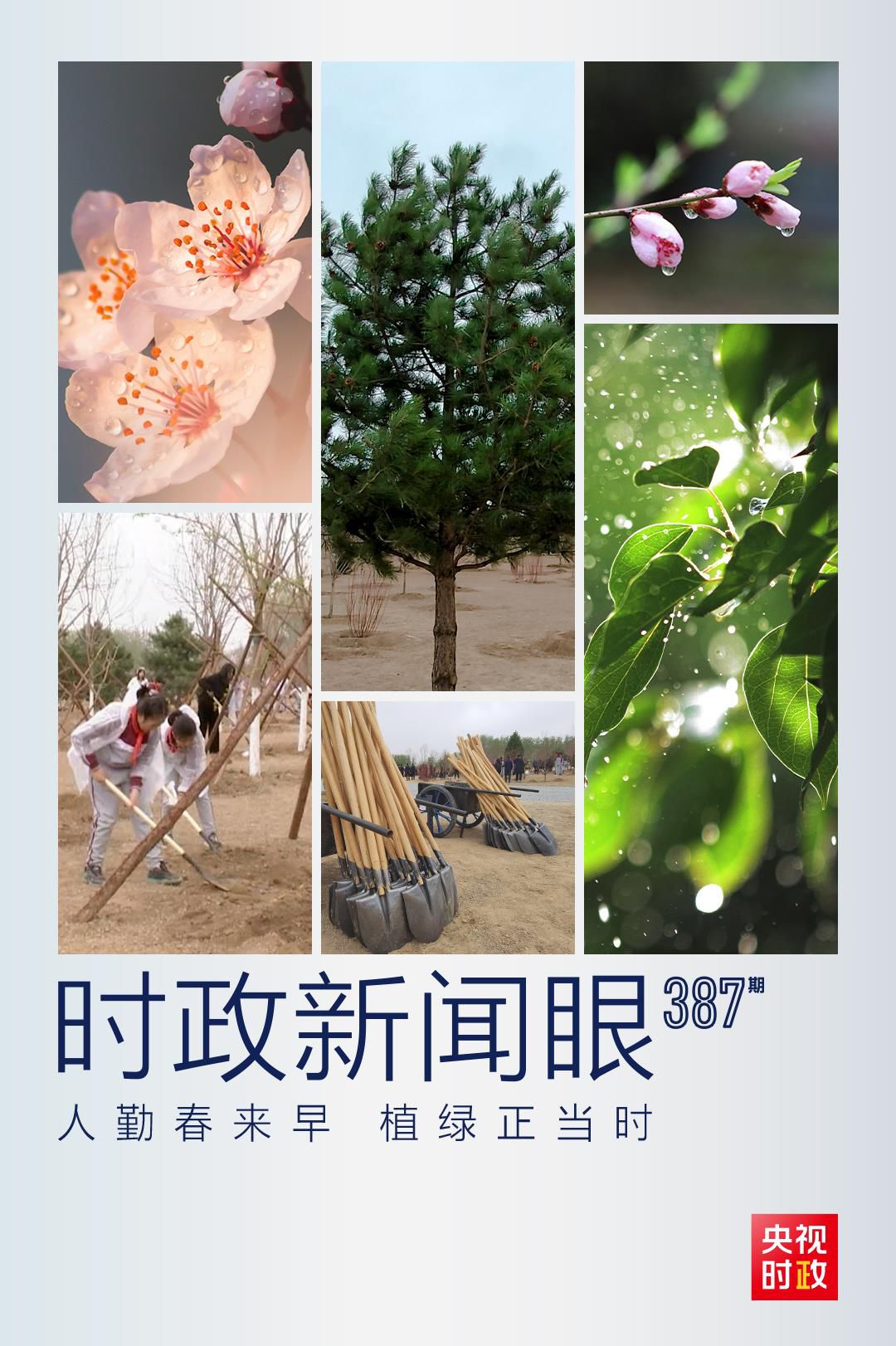 在今年首都義務植樹現場，習近平這三句話飽含深意